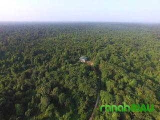 Cium keganjilan, SARAP desak APH agar lakukan Pemeriksaan ke Pejabat yang diduga Bertindak Korupsi